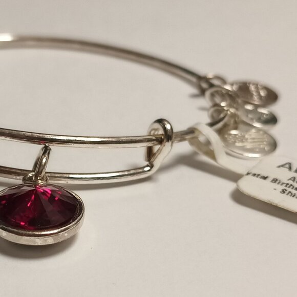 ALEX AND ANI CRYSTAL BIRTHSTONE BRACELET - Picture 2 of 4